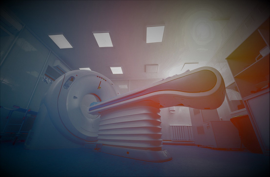 shutterstock 1911526819 1